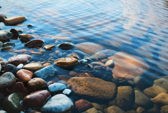 What Is a Construction Environmental Management Plan, and Do You Need One?