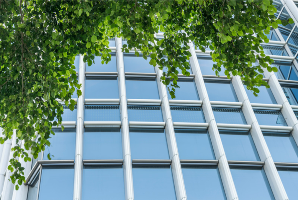 5 Environmental Quick Wins That Save Money