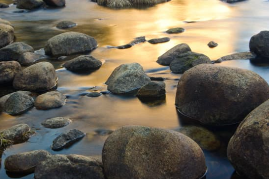 Earthworks and Vegetation Clearance: Environmental Requirements for Construction Sites